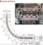 1650mm Mitsubishi-Hitachi Hot Rolling Mill for Coils with Melting and Casting