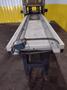 HORIZONTAL MOTORIZED CONVEYOR: STOCK #19562