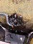 5THHS FENN COMBINATION HIGH SPEED TURKS HEAD Stock # 14261