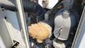 Ingersoll Rand Sierra H200W Oil-Free Rotary Screw Air Compressor, 2001