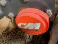 CM 6 TON CYLONE CHAIN HOIST
