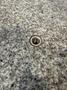 60" X 120" X 16" TRU STONE GRADE A GRANITE SURFACE PLATE W/STAND. STOCK # 0756726