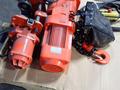 BISON LIFTING EQUIPMENT 2 TON ELECTRIC HOIST  -  HHBDSK02-01D+WPC02D