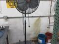 Dayton 22in Pedestal Fan- Auction Item
