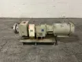 FRISTAM ROTARY LOBE PUMP