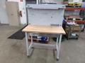 Portable Work Bench with Maple Top, Upper Shelf, Drawer, Work light- Auction Item
