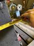 36" WIDE X 73" LONG X 29" TALL T-SLOTTED BOX TYPE RISER SET(4X TOTAL). STOCK #0548826