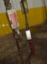 2 TON DAYTON HOIST: STOCK #22475