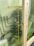 275 Ton Seyi Model SN2-275 Double Crank Gap Frame press. New 2024 never put in service.