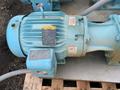 WAUKESHA ROTARY LOBE PUMP  -  060-U2