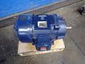 MARATHON MOTORS 20 HP MOTOR  -  XF256TTFCD6028BBM