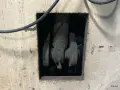 HTC 10 GA. SHEAR  -  1008 HS