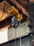 3 TON HARRINGTON HOIST: STOCK #23290