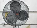 Dayton 22in Pedestal Fan- Auction Item