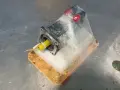 ALLEN-BRADLEY AC ROTARY SERVO MOTOR  -  MPL-B330P-MK72AA