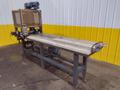 HORIZONTAL MOTORIZED CONVEYOR: STOCK #19562