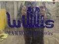 35" X 120" WILLIS PK35 HOLLOW SPINDLE ENGINE LATHE 10" HOLE. STOCK # 0547226