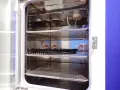 THERMO ELECTRON CORPORATION WATER JACKETED INCUBATOR  -  3110