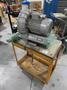 Rietschle Thomas Bora SAP 300 (01) Vacuum Pump and (2) Shelf Cart- Auction Item