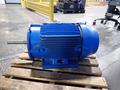WEG 30 HP MOTOR  -  03036EP3E286JP-W22