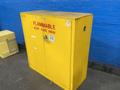 PROTECTOSEAL CO 30 GAL FLAMMABLE CABINET  -  5503S