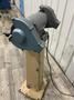 8"  GENERAL MODEL  EG-800 DOUBLE PEDESTAL GRINDER: STOCK #81165