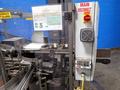 B.D. BRIGGS LLC CONSTANT MOTION VERTICAL CARTONING MACHINE  -  RAJ6