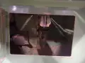 ULIMA 42" X 28" TABLE SAW