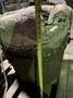 Modern 28&quot; geared lip pour ladle, 28&quot; diameter x 28&quot; deep