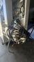 2022 Doosan DVF 6500 VMC, 5 Axis, Coolant Thru Spindle, 18K RPM