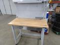 Portable Work Bench with Maple Top, Upper Shelf, Drawer, Work light- Auction Item