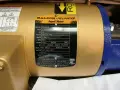 DP PUMPS 1.5 HP DPVST 6/3 B FRAME 143 TC 60HZ PUMP    -  CP246*019965