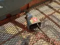 JLG INDUSTRIES 1000 LBS PROPANE TELESCOPING MAN LIFT   -  800A