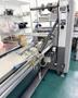 Bosch Doboy Stratus Horizontal Flow Wrapper, 2012