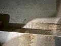 LEBLOND MODEL 12E ENGINE LATHE: YOBRO #26268