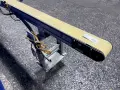 DORNER 4”X250”, 3/8 HP 3200 SERIES FLAT BELT CONVEYOR WITH LUBRICATORS ASSEMBLY  -  320M042100D1301