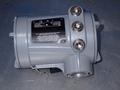 PANEMETRICS 20 WATTS PANAFLOW   -  XMT1000LC-AC-O-AL-00-1-0-0-0