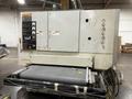 TIMESAVER 52" 2 HEAD BELT GRINDER SANDER  -  252-301C