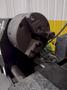 12" WELDLOGIC MODEL CWT-12 TIG WELDING LATHE, WITH WELDLOGIC AWS-150 CONTROLLER: YOBRO #24403