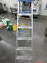 Werner 6" Aluminum Step Ladder, 250 lb Capacity- Auction Item