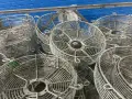 FAN COVERS