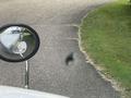 2011 Peterbilt 367 Flat Top 
w/36” Sleeper and an Air Compressor