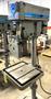 20" Clausing Single Spindle Drill, 300-2000 RPM,  22" x 19" Tbl., 1 HP, 1 Phase