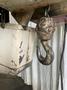 2 TON COFFING ELECTRIC CHAIN HOIST: STOCK #75536