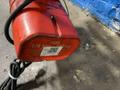 CM 1/4 TON ELECTRIC CHAIN HOIST   -  WB