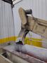17 CUBIC FT ALMCO MODEL #V-16TF TUB TYPE VIBRATORY FINISHER W/ CONVEYOR LOAD &amp; SHAKER TABLE: YOBRO #25321