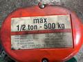 CM 1/2 TON HOIST   -  F