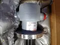 WATLOW IMMERSION HEATER  -  2324-2699