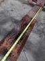 20,000 LBS / 10 TON X 60&quot; X 60&quot; BUSHMAN MODEL #901 PALLET LIFTER CRANE ATTACHMENT: STOCK #23641