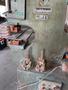 120 Ton Scotchman 12012 Ironworker, 1996 – Tooling Available